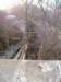 Photo Number 3