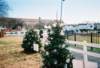 Photo Number 13